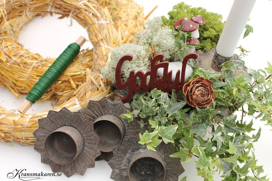 Vitmossa / Fönsterlav. 100g